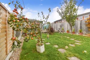 Photo 11- click for photo gallery